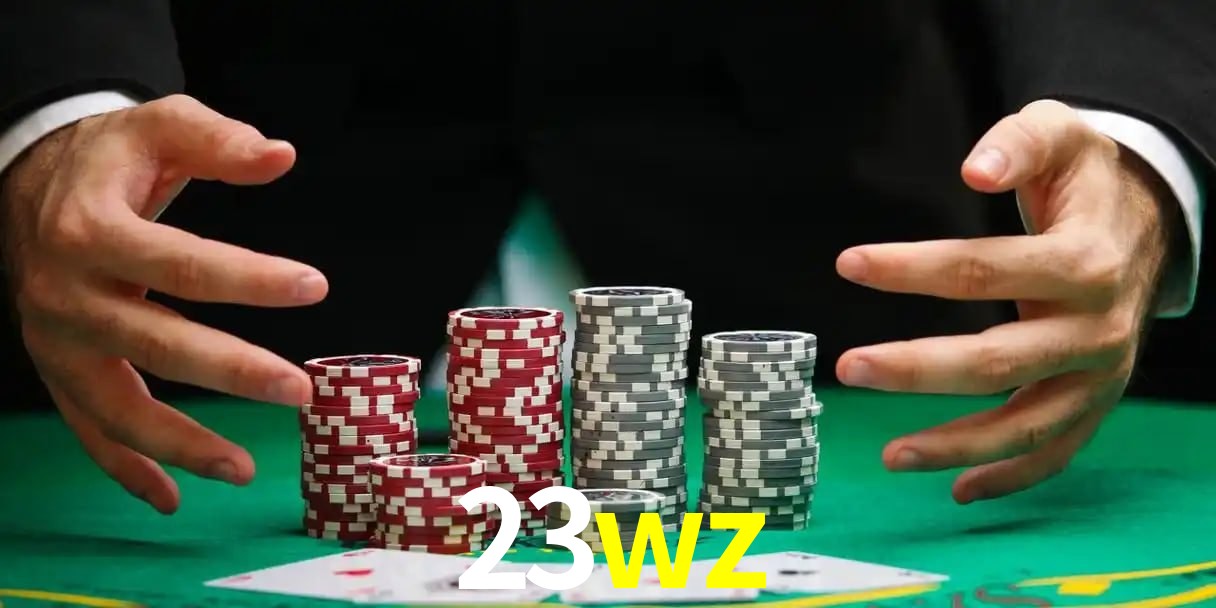 23wz Aplicativo - 23wz visual 2